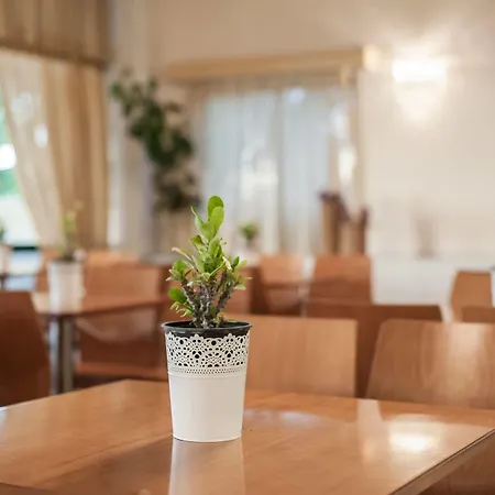 Phoenix Hotel Planos (Zakynthos)